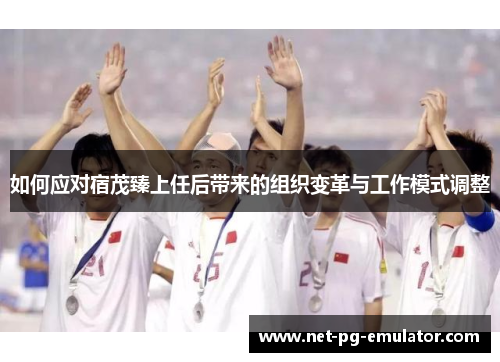 如何应对宿茂臻上任后带来的组织变革与工作模式调整