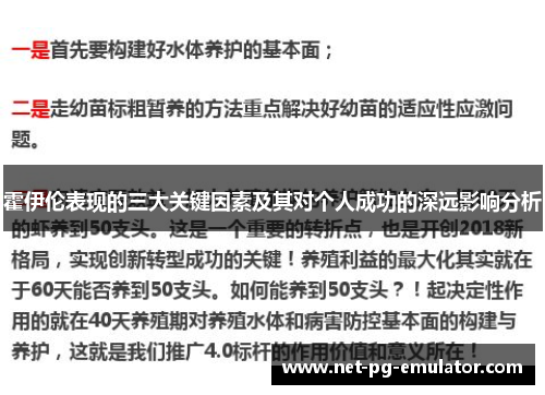 霍伊伦表现的三大关键因素及其对个人成功的深远影响分析