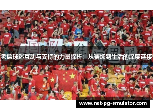 老詹球迷互动与支持的力量探析：从赛场到生活的深度连接