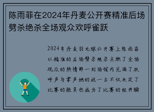 陈雨菲在2024年丹麦公开赛精准后场劈杀绝杀全场观众欢呼雀跃 陈雨菲在2024年丹麦公开赛精准后场劈杀绝杀全场观众欢呼雀跃