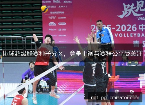排球超级联赛种子分区,竞争平衡与赛程公平受关注 排球超级联赛种子分区,竞争平衡与赛程公平受关注